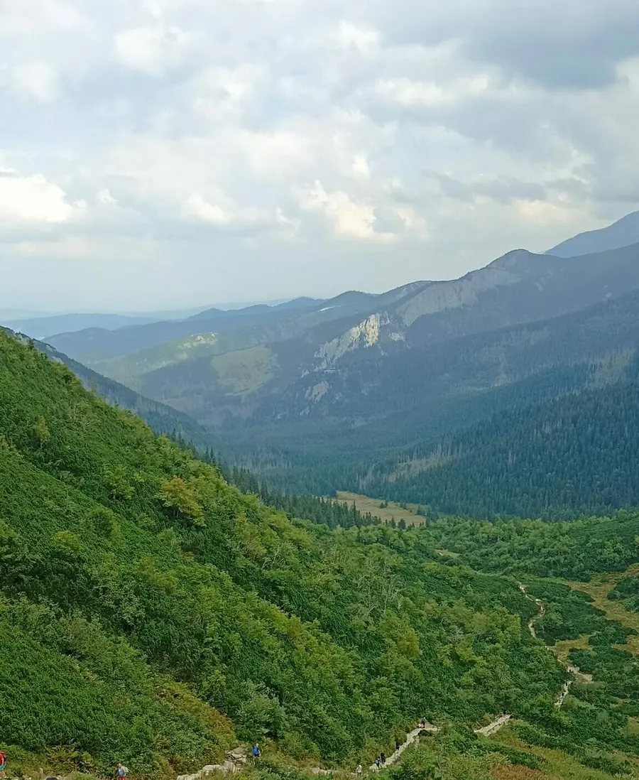Weiter Blick über ein grünes Bergtal